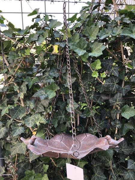 Hangvogelbad-vogel voederbak-hangketting--vogel - Afbeelding 6