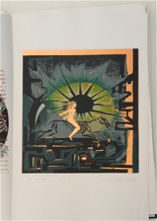 Tarot de Jean Beauchard 1976 1/22 ex met 9 Orig. Ontwerpen