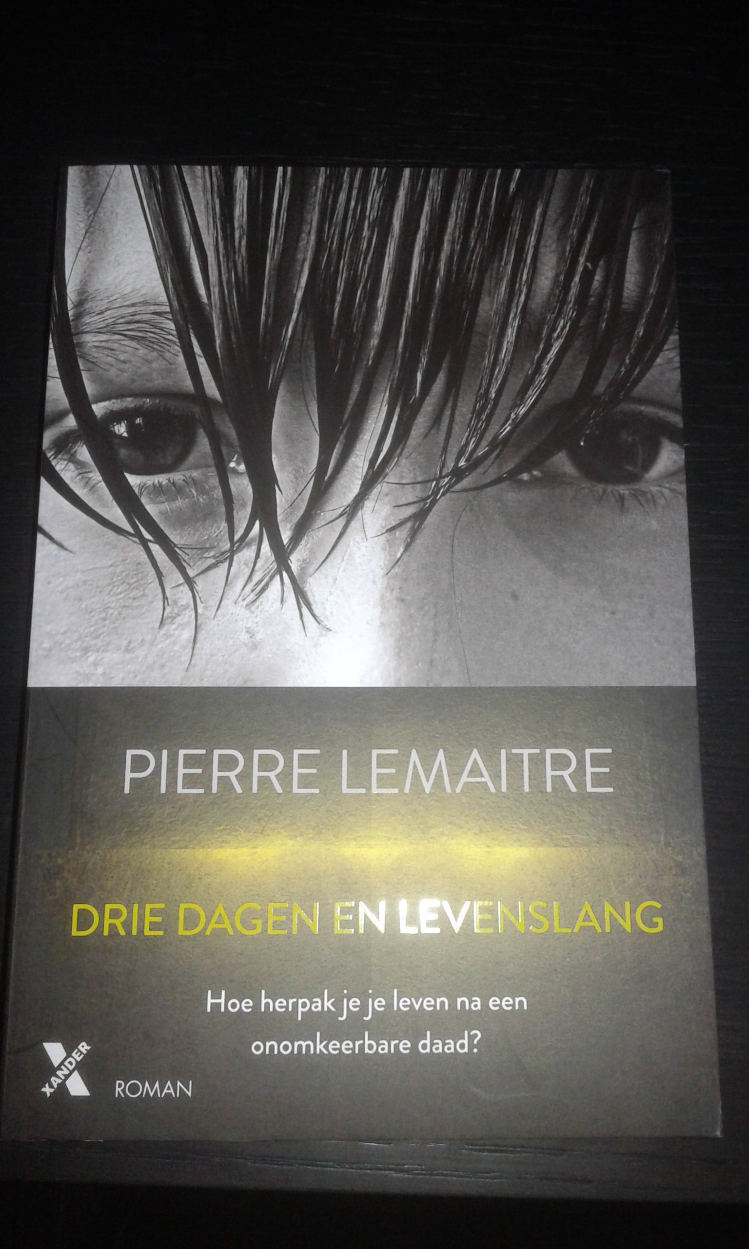 De kleuren van de brand / Drie dagen en levenslang - Pierre Lemaitre - Afbeelding 3