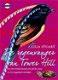 Julia Stuart - De Regenvanger Van Tower Hill (Hardcover/Gebonden) - 0 - Thumbnail