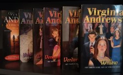 WILLOW-SERIE 6 delen – Virginia Andrews