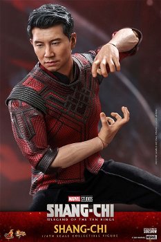 Hot Toys The legend of the Ten Rings Shang-Chi MMS614 - 1