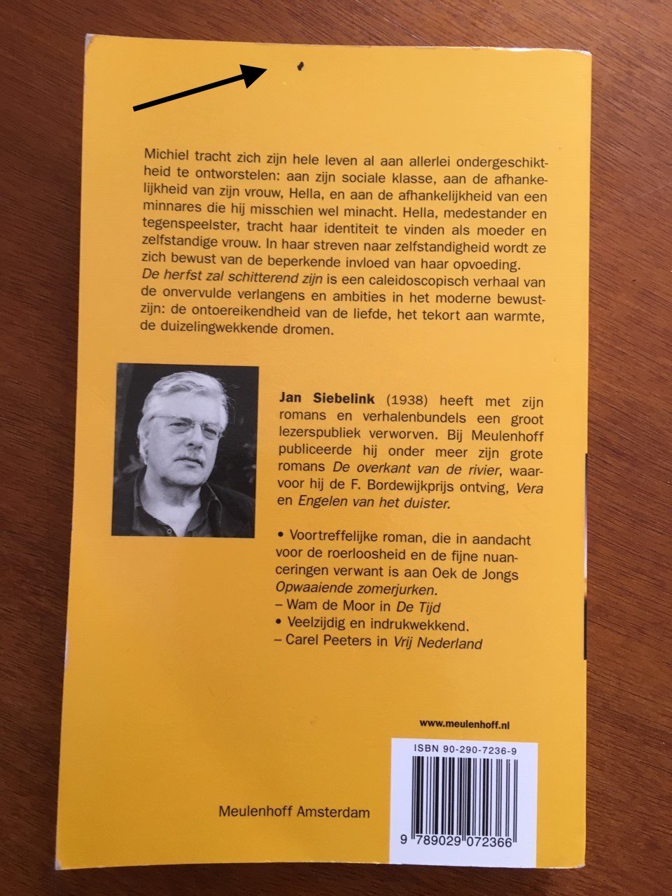 De herfst zal schitterend zijn - Jan Siebelink - Afbeelding 2