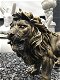 Beeld van een leeuw, mooi in detail, leeuw -kado - 1 - Thumbnail