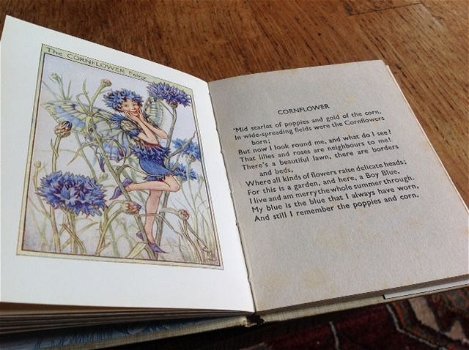 Cicely mary barker - flower fairies of the garden - 2