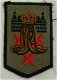 Embleem Mouw, DT2000, Koninklijke Militaire Academie (KMA), Koninklijke Landmacht, vanaf 2000.(Nr.1) - 1 - Thumbnail
