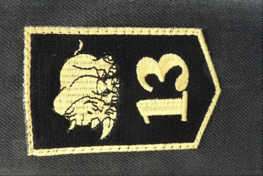 Uniform DT2000, 13 Gemechaniseerde Brigade, Reg Technische Troepen, KL, maat: 55-52, vanaf 2000.(1) - 1