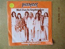 a2866 pussycat - wet day in september
