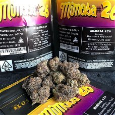 Jungle Boys Weed for sale online https://jungleboysweedofficial.com