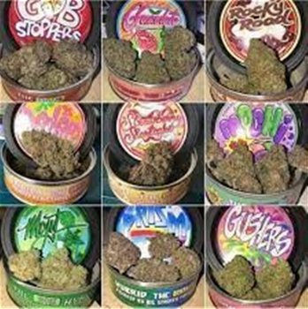 Cali Tins Weed for sale Online at https://jungleboysweedofficial.com - 4