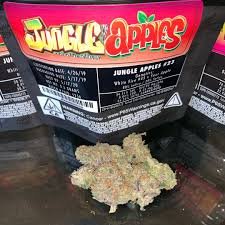 Where to Buy Jungle Boys Weed Online at http://jungleboysweedofficial.com/ - 3