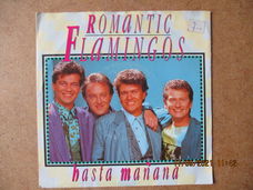 a3070 romantic flamingos - hasta manana