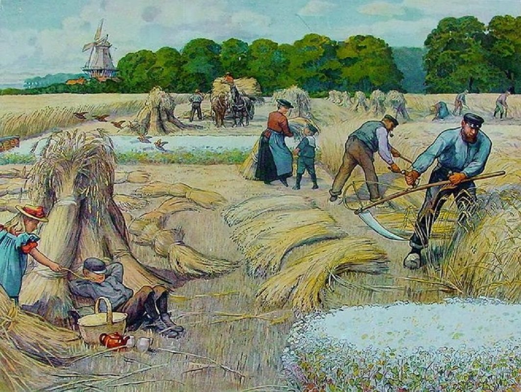 CORNELIS JETSES - Schilder-Illustrator - Afbeelding 3