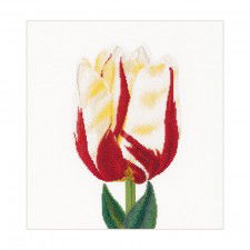 Borduurpakket Thea Gouverneur FLAMED TULIP NIEUW ! - 0