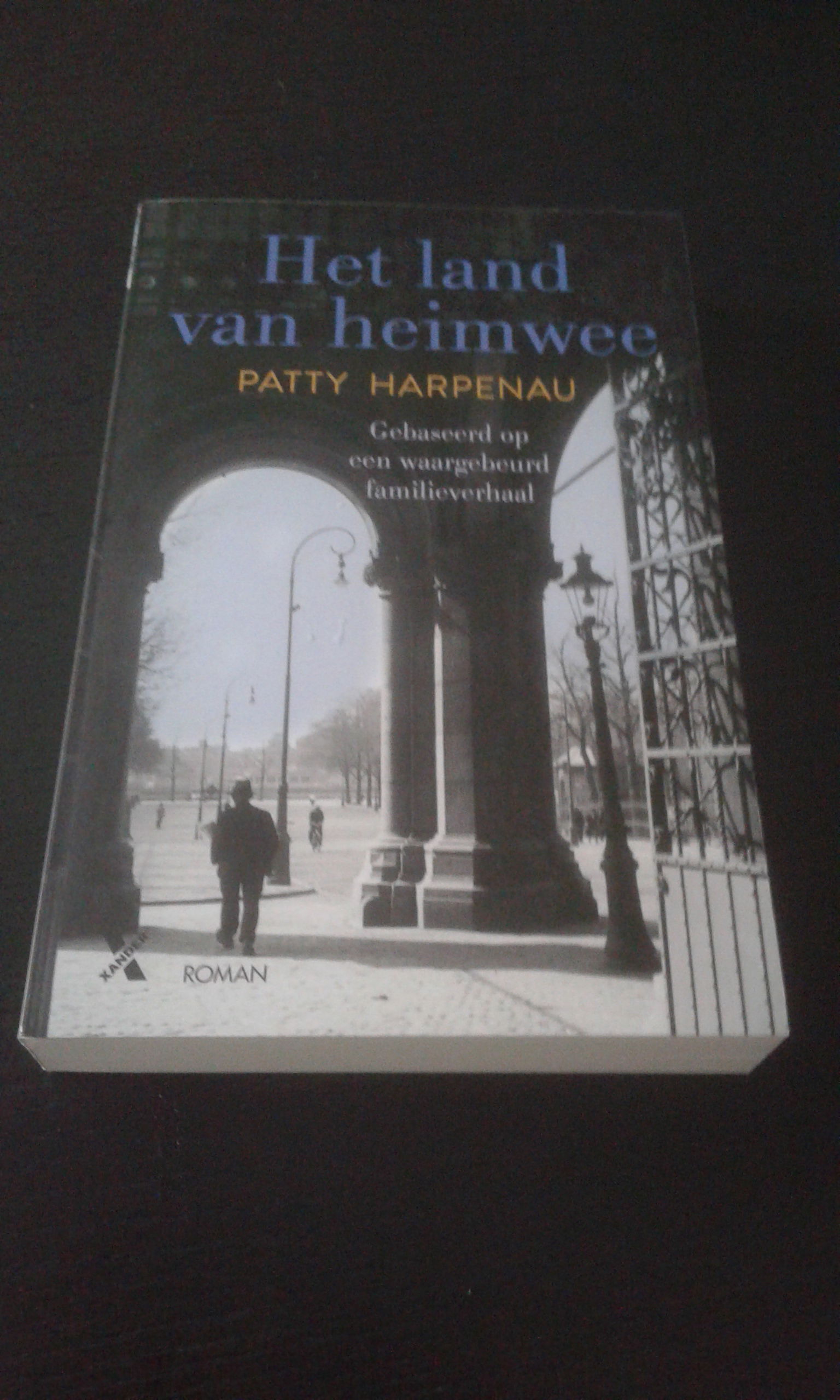 Het land van heimwee - Patty Harpenau - nr. 1