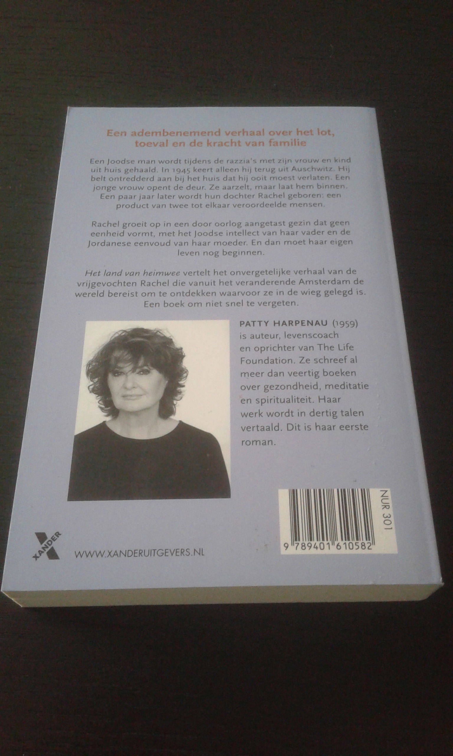 Het land van heimwee - Patty Harpenau - Afbeelding 2