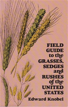 Field guide to the grasses, sedges and rushes of the United States