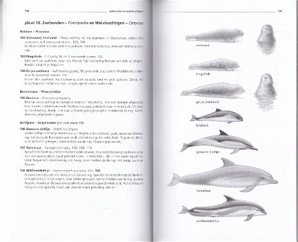 Zoogdieren van West-Europa - 2