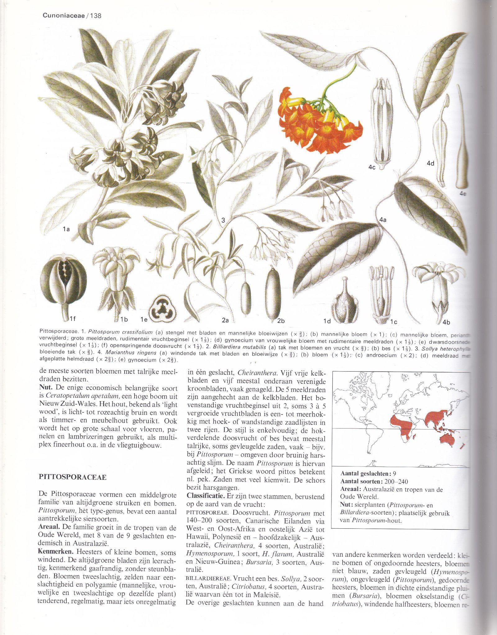 Bloeiende planten van de wereld - Afbeelding 4