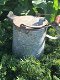 waterkan, Vienne, zink -waterkan -kan -tuin deco - 2 - Thumbnail