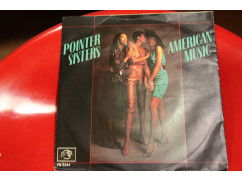 124v - pointer sisters --a-- american music--b--i want to do it with you - nr. 1
