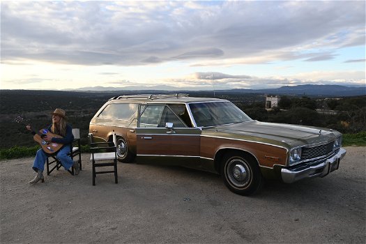 1974 PLYMOUTH FURY SPORT SUBURBAN STATION WAGON - 0