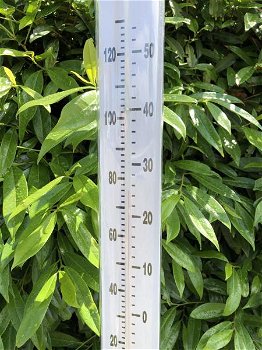 Een zeer forse temperatuur meter -de tuin-termometer - 3