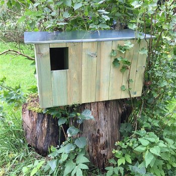 Prachtige nestkast voor vogels en eekhoorns -eekhoorn - 0