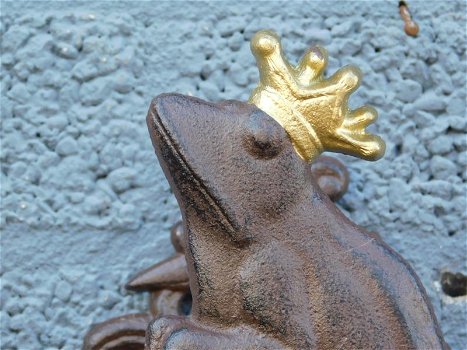 Tuinslanghouder Kikker prins met gouden kroon, kikker - 2