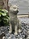 Beeld- zittende kat -levensechte-vorstbestendig-kat-poes - 3 - Thumbnail