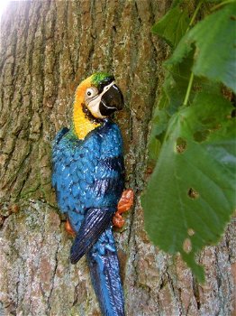 Blauwe papegaai, gietijzer -papegaai -tuin deco-vogel - 0