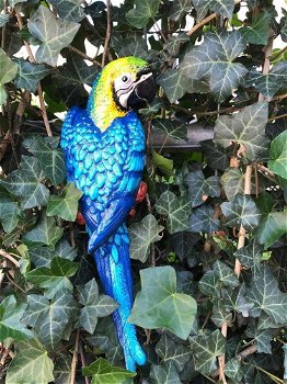 Blauwe papegaai, gietijzer -papegaai -tuin deco-vogel - 2