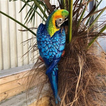 Blauwe papegaai, gietijzer -papegaai -tuin deco-vogel - 4