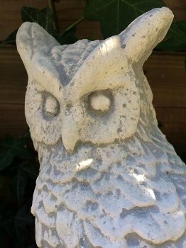 De uilensoort in vol steen: de oehoe.- uil -tuin -deco - 5