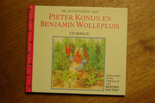 Pieter Konijn en Benjamin Wollepluis - 0