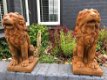 Set zittende leeuwen,leeuw -beeld- vol steen oxid,tuin - 0 - Thumbnail