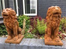 Set zittende leeuwen,leeuw -beeld- vol steen oxid,tuin 