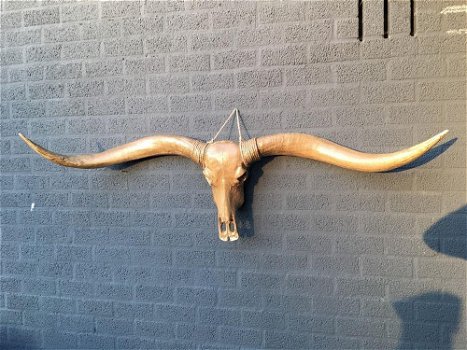 grote longhorn woodlook stierenschedel-stier-tuin deco - 0