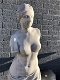 Prachtig stenen beeld van Venus van Milo op sokkel-tuin - 4 - Thumbnail