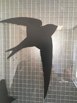 Raamstikkers in de vorm van vliegende vogels-raamstikker - 1