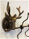 Kapstokrek metaal-brons look met 2 herten-hert - 2 - Thumbnail