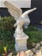 Mooie adelaar vol steen-adelaar-tuin deco-+ sokkel - 1 - Thumbnail