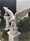 Mooie adelaar vol steen-adelaar-tuin deco-+ sokkel - 3 - Thumbnail