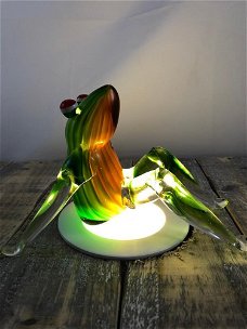 Mooie glazen zittende kikker, geheel in kleur-kikker-kado