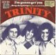 Trinity – I'm Gonna Get You (1976) MISDRUK - 0 - Thumbnail