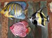 Set van 3 wandvissen metaal vol in kleur-vis-vissen - 0 - Thumbnail