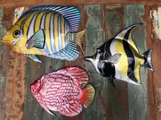 Set van 3 wandvissen metaal vol in kleur-vis-vissen