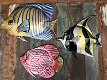 Set van 3 wandvissen metaal vol in kleur-vis-vissen - 1 - Thumbnail
