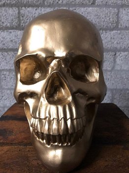 Skull-schedel, uit Polystein, gold-schedel -deco - - 0