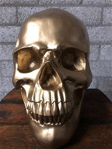 Skull-schedel, uit Polystein, gold-schedel -deco -